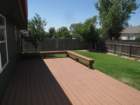 thebackdeck_small.jpg